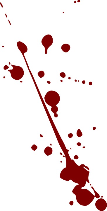 Contatti e Riferimenti
